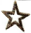 Sequin Star Applique